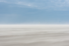 alicephoto_zee_monster_3144